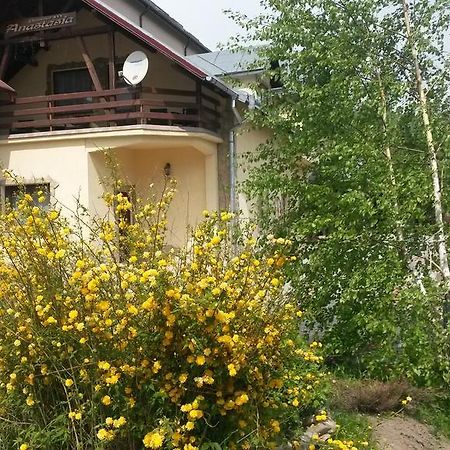 Pension Anastasia Гура-Гуморулуй Экстерьер фото