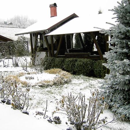 Pension Anastasia Гура-Гуморулуй Экстерьер фото