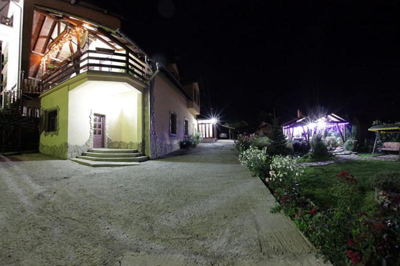 Pension Anastasia Гура-Гуморулуй Экстерьер фото